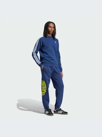 Штани Adidas Graphics модель IS0196 Фото