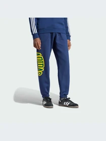 Штани Adidas Graphics модель IS0196 Фото