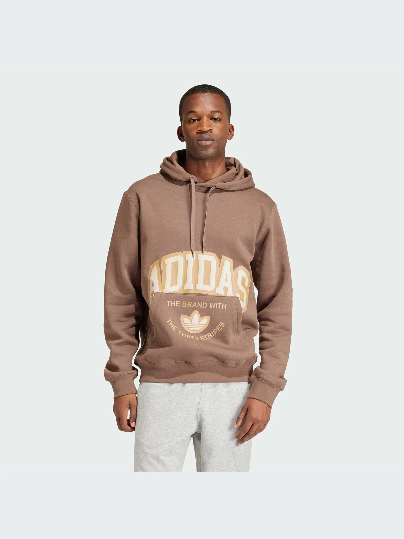 Худи и свитшоты Adidas Graphics модель IS0237 Фото