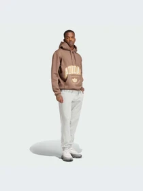 Худи и свитшоты Adidas Graphics модель IS0237 Фото