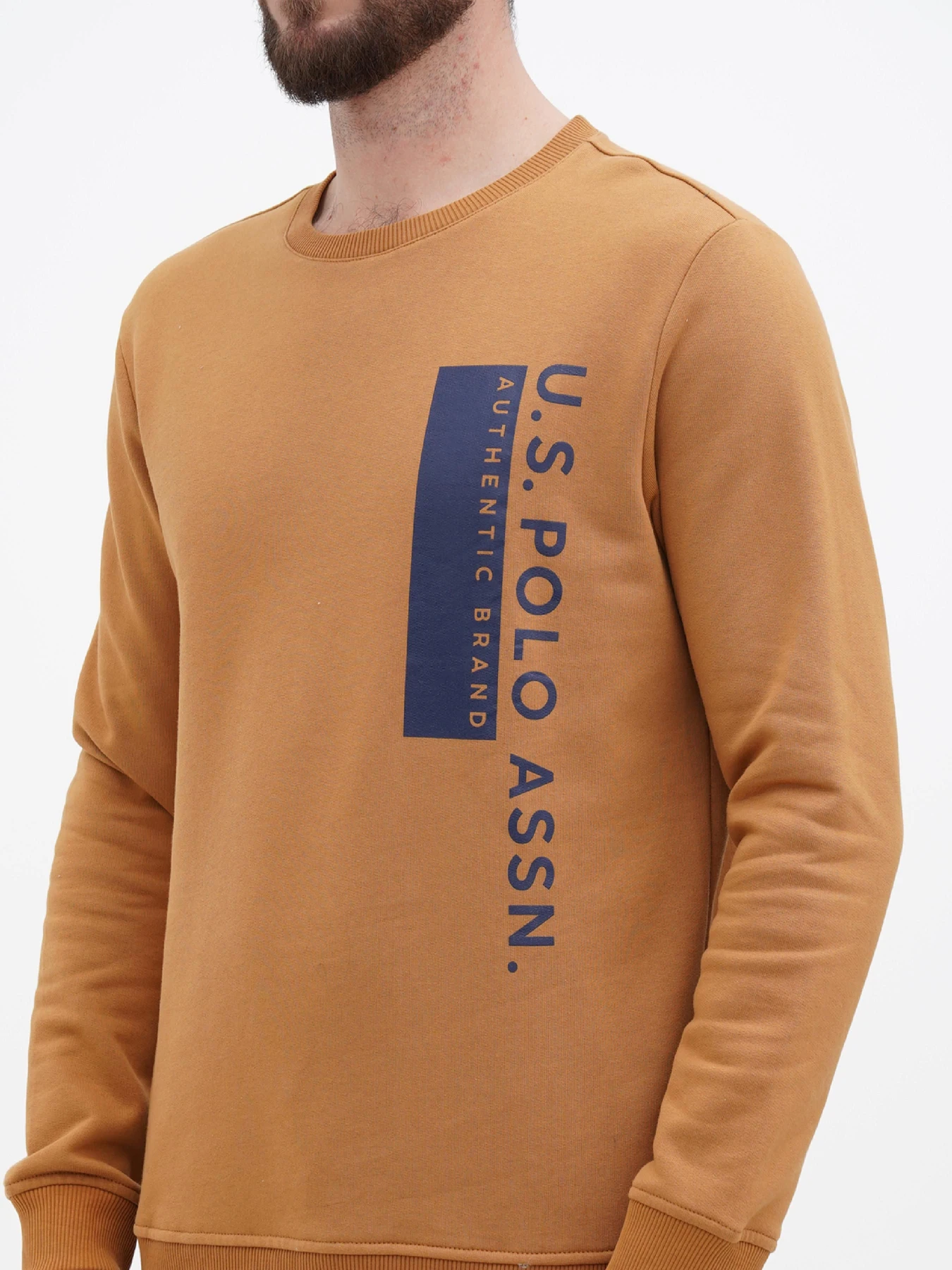 Худи и свитшоты US Polo модель USPA.Hu231122-2.VR072 Фото