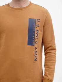 Худи и свитшоты US Polo модель USPA.Hu231122-2.VR072 Фото