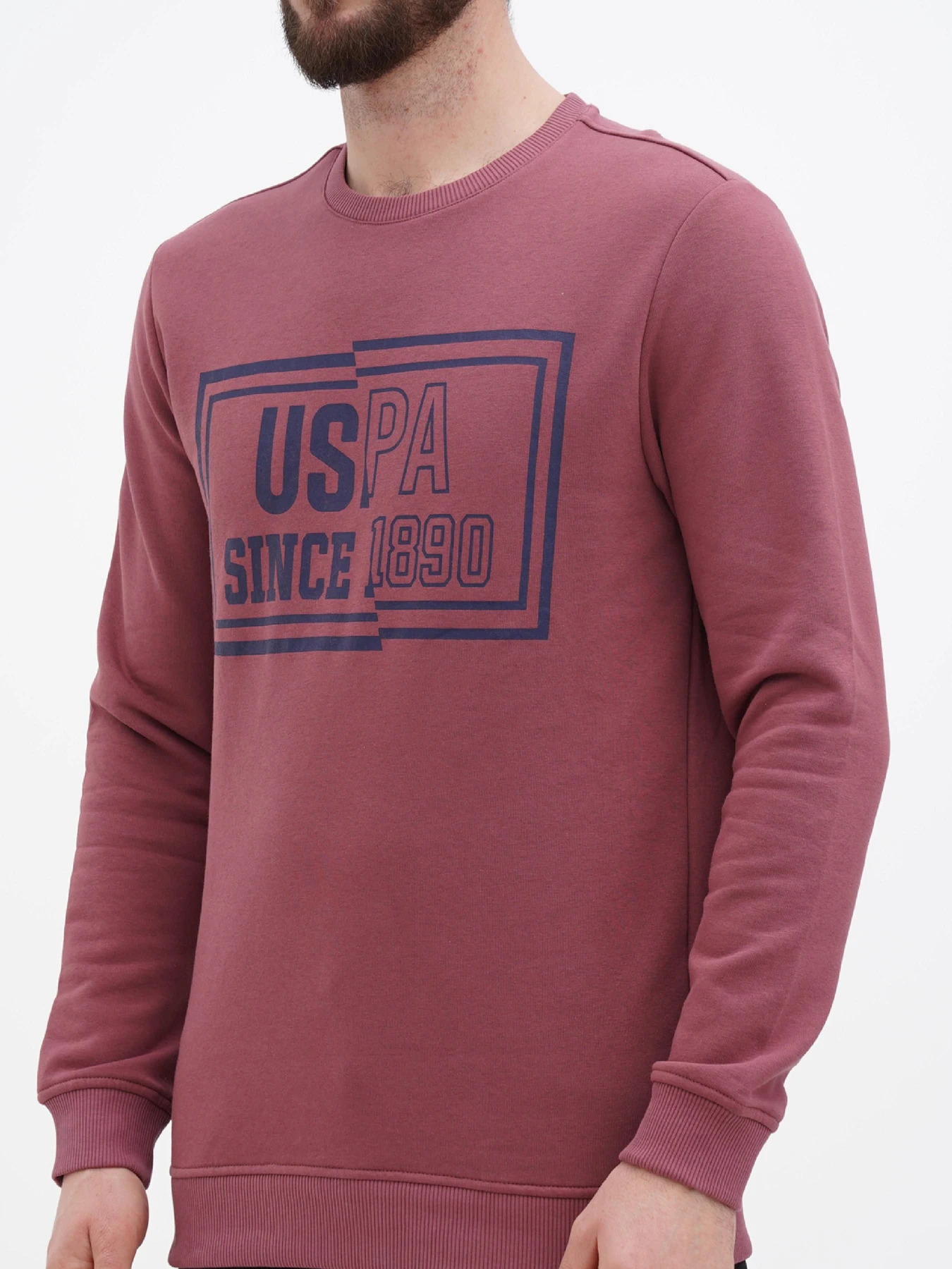 Худи и свитшоты US Polo модель USPA.Hu231122-5.VR180 Худи и свитшоты US Polo модель USPA.Hu231122-5.VR180 Фото