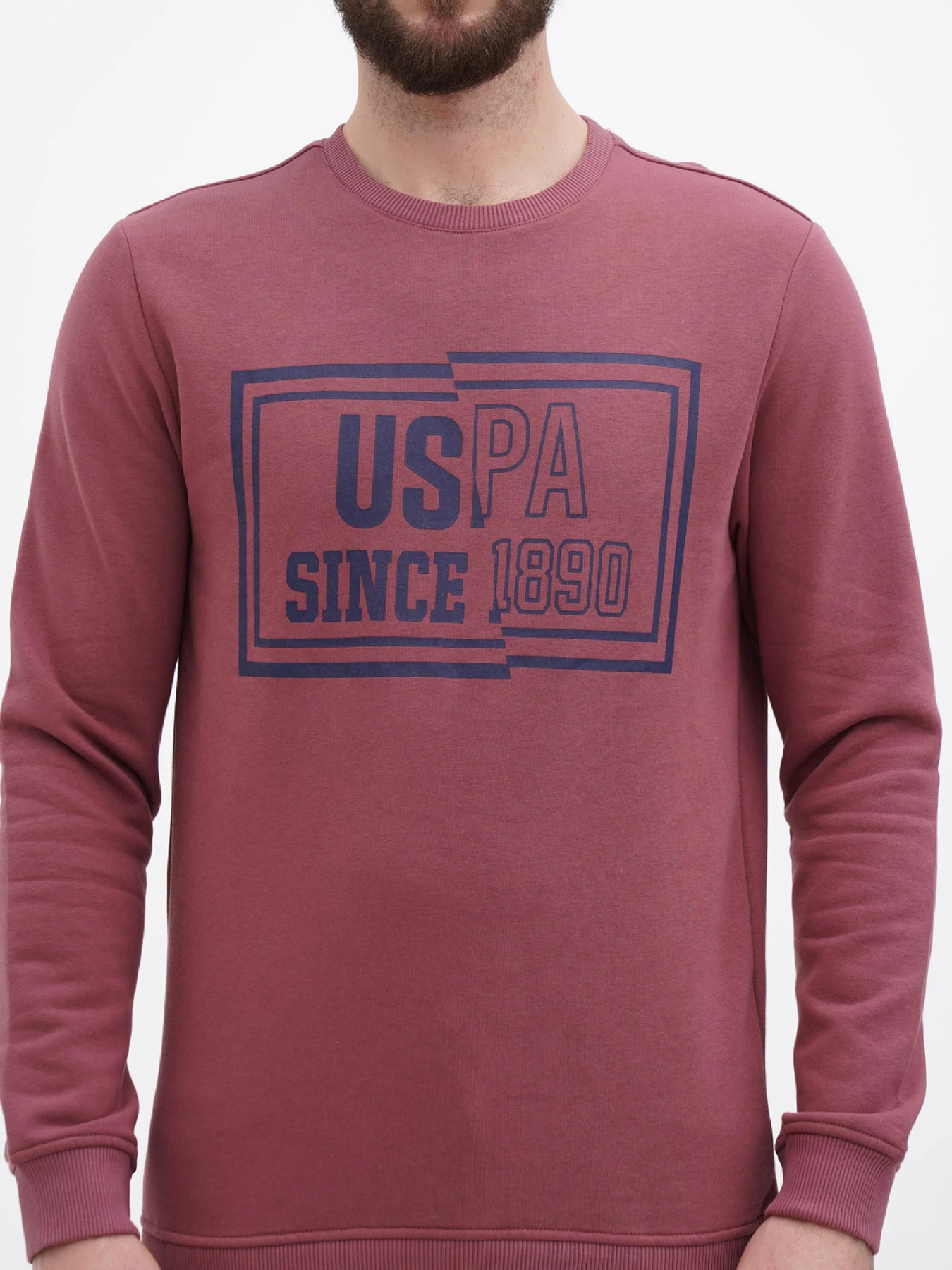 Худи и свитшоты US Polo модель USPA.Hu231122-5.VR180 Худи и свитшоты US Polo модель USPA.Hu231122-5.VR180 Фото
