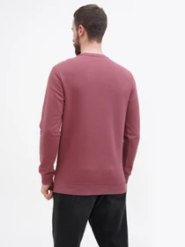 Худи и свитшоты US Polo модель USPA.Hu231122-5.VR180 Фото