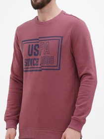 Худи и свитшоты US Polo модель USPA.Hu231122-5.VR180 Фото