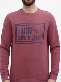 Худи и свитшоты US Polo модель USPA.Hu231122-5.VR180 Фото