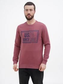 Худи и свитшоты US Polo модель USPA.Hu231122-5.VR180 Фото