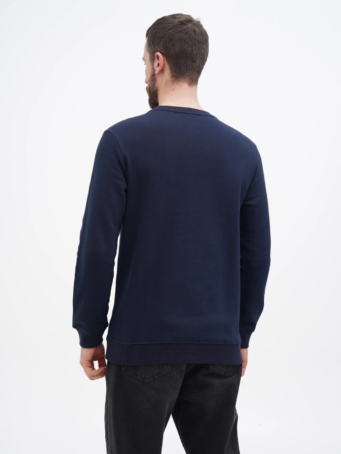 Худи и свитшоты US Polo модель USPA.Hu231122-6.VR033 Фото