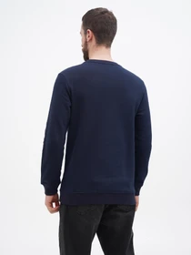 Худи и свитшоты US Polo модель USPA.Hu231122-6.VR033 Фото