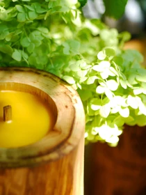 Дерев'яна інтер'єрна свічка з неповторним візерунком на дереві WOOD MOOD модель 1511100000 Фото