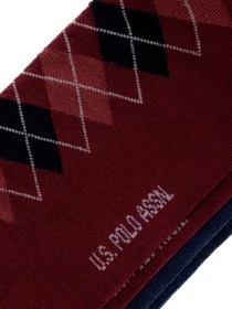 Носки и гольфы US Polo модель A081SZ013.P01.ARDES-SK22.VR014 Фото