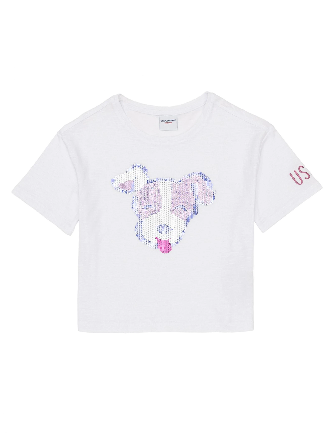 Футболки и поло US Polo модель G084SZ011.000.1368418.VR013 Футболки и поло US Polo модель G084SZ011.000.1368418.VR013 Фото