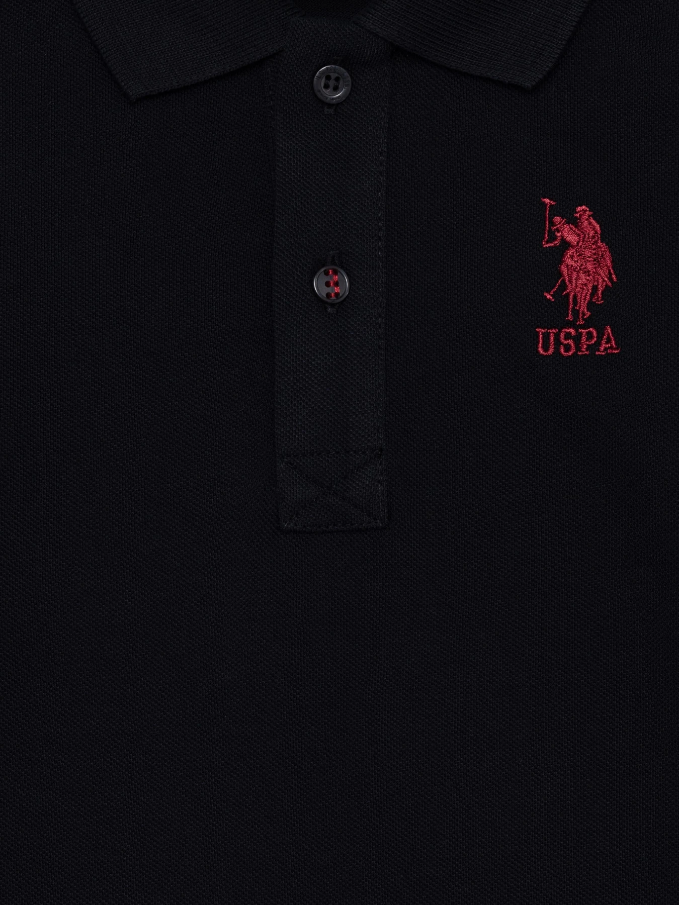 Футболки и поло US Polo модель G083SZ082.000.1456640.VR046 Фото