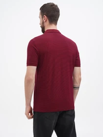 Футболки и поло US Polo модель USPA.1364501.VR014 Фото