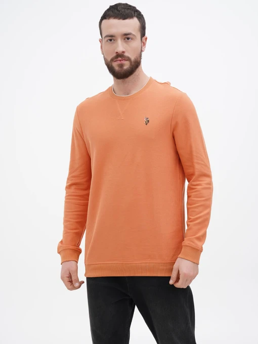 Худі та світшоти US Polo модель USPA.1450000.VR031 Фото