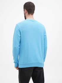 Худи и свитшоты US Polo модель USPA.1450004.VR003 Фото