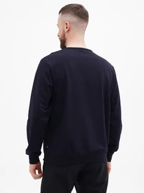 Худі та світшоти US Polo модель USPA.18468.VR033 Фото