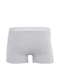 Нижня білизна US Polo модель I081SZ0IA.000.80093_.600 Фото