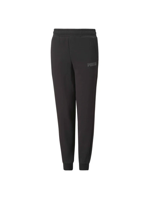 Брюки PUMA Sweatpants модель 674492 Фото