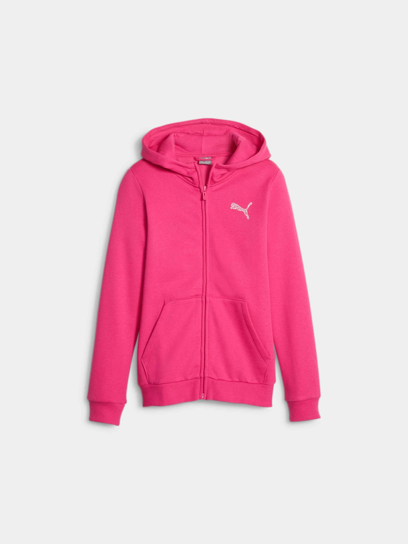 Худі та світшоти PUMA Full-zip Hoodie модель 674494 Фото