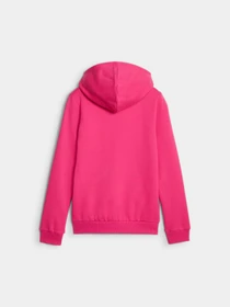 Худі та світшоти PUMA Full-zip Hoodie модель 674494 Фото