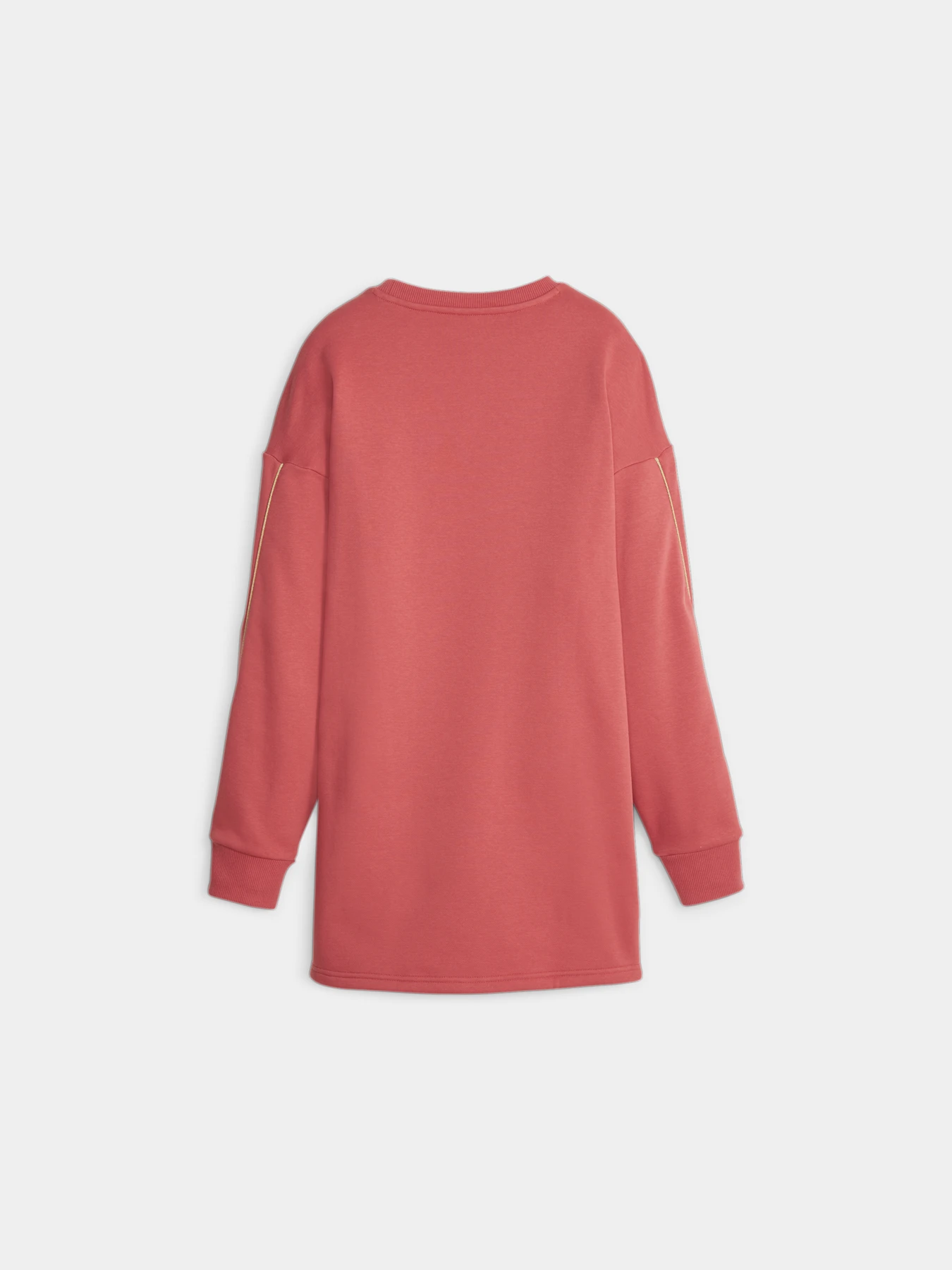 Сукні PUMA Ess+ Minimal Gold Crew Dress модель 680023 Фото