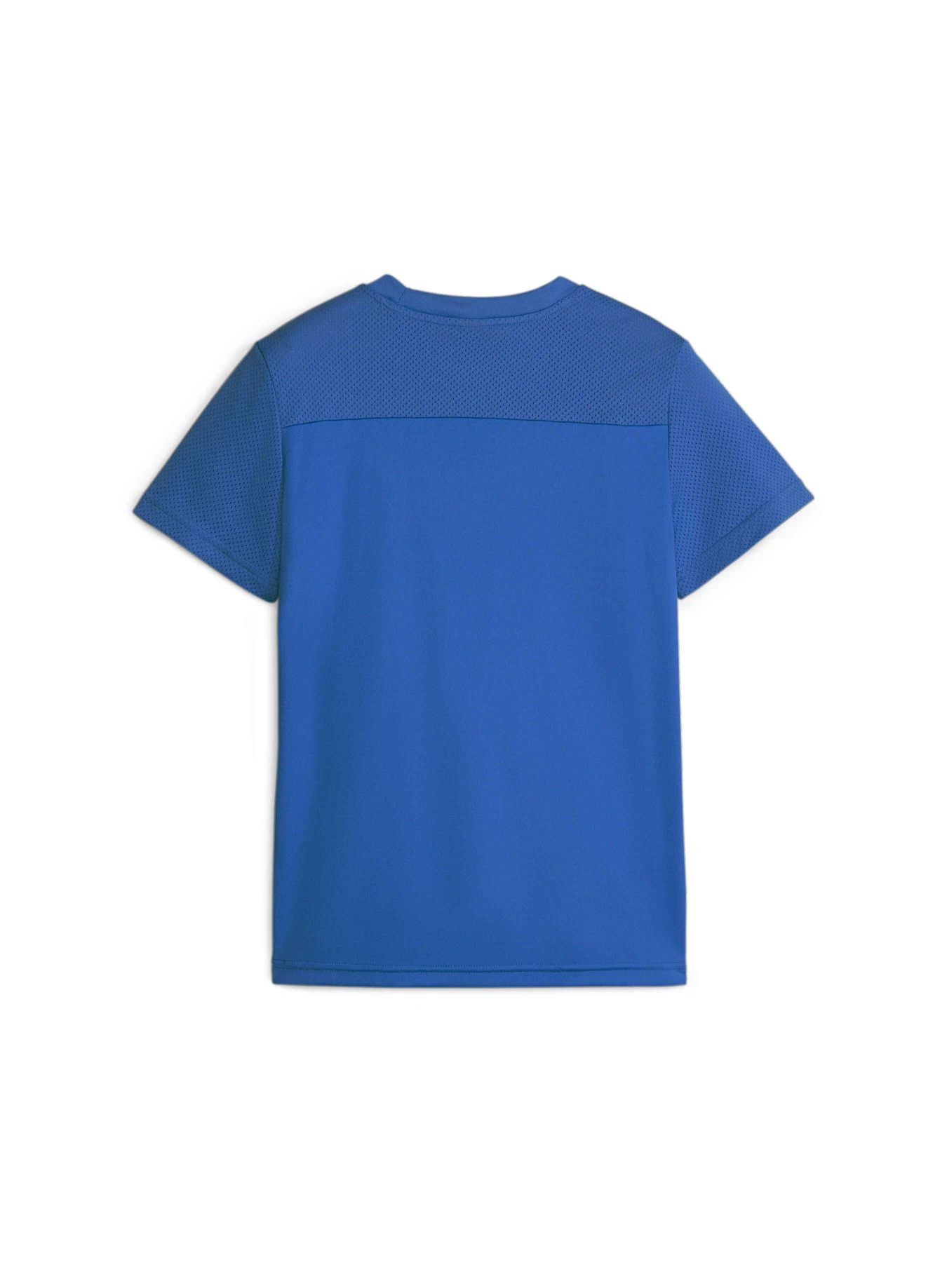Футболки і поло PUMA Active Sports Poly Cat Tee модель 676294 Футболки і поло PUMA Active Sports Poly Cat Tee модель 676294 Фото