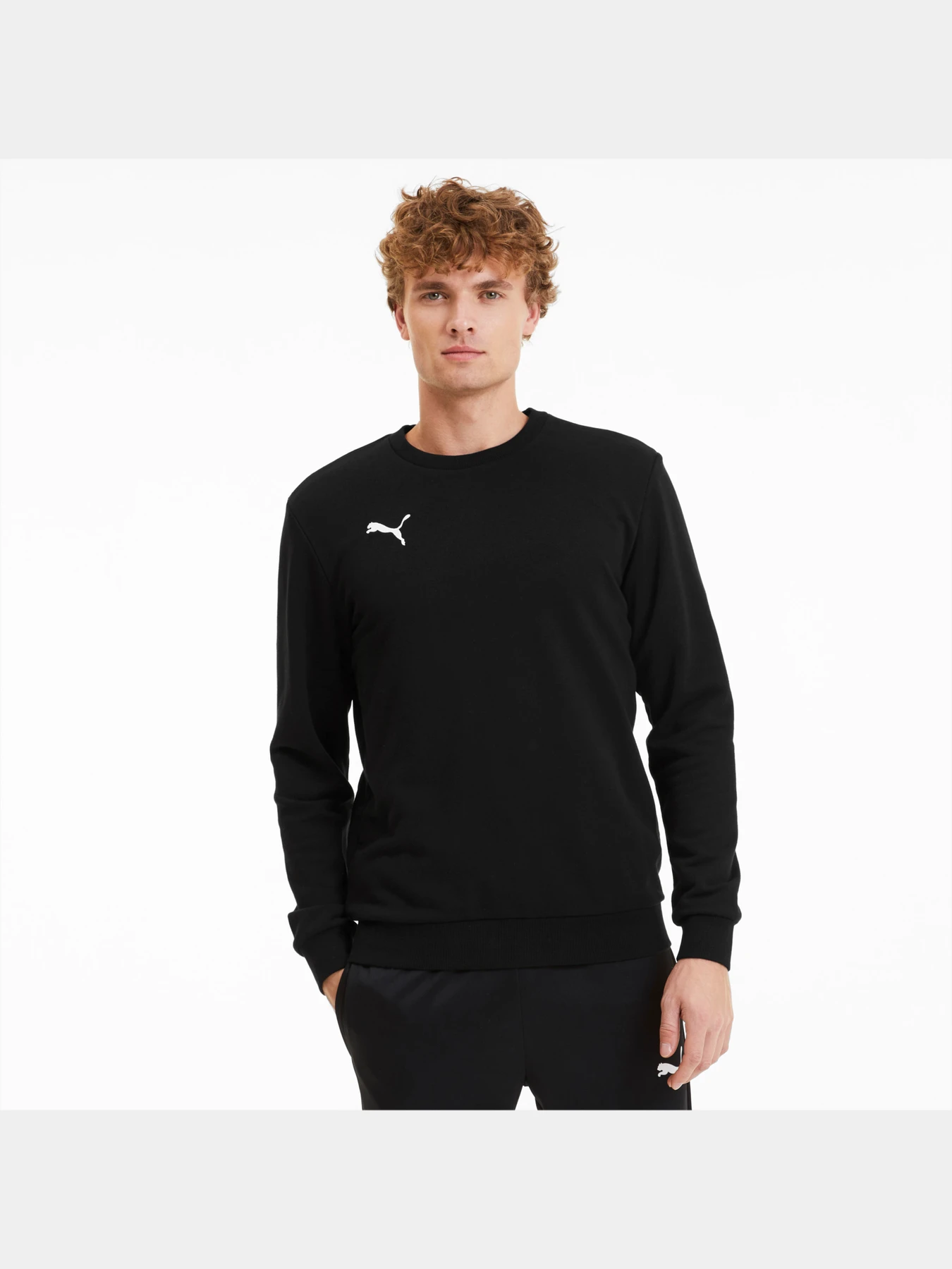 Худи и свитшоты PUMA Teamgoal 23 Casuals Sweat модель 656933 Худи и свитшоты PUMA Teamgoal 23 Casuals Sweat модель 656933 Фото