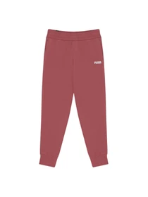 Брюки PUMA Ess Sweat Pants Closed Fl W модель 847206 Фото