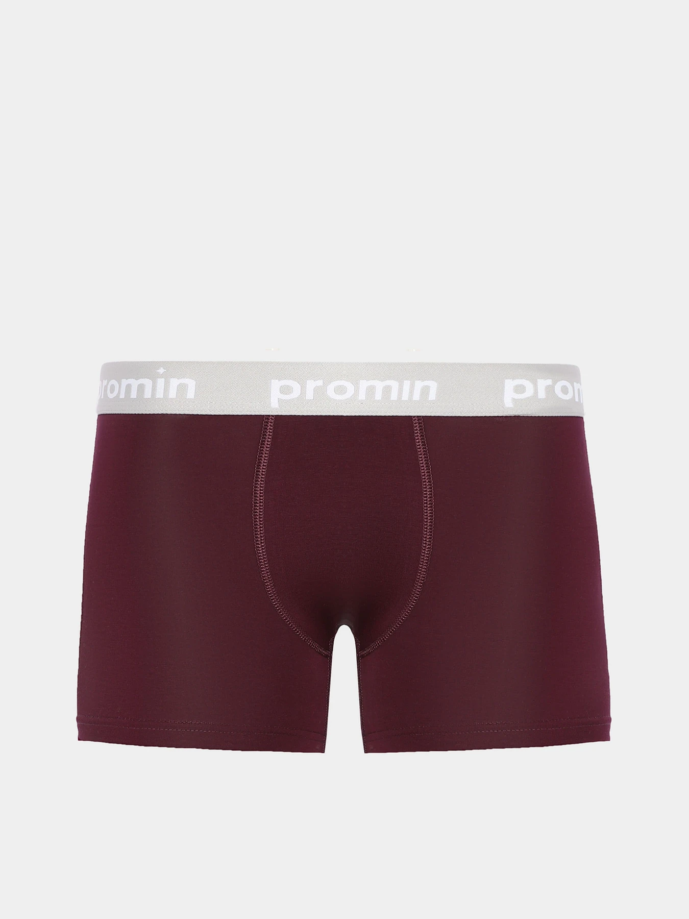 Нижнее белье Promin модель 1991-01_113 Нижнее белье Promin модель 1991-01_113 Фото
