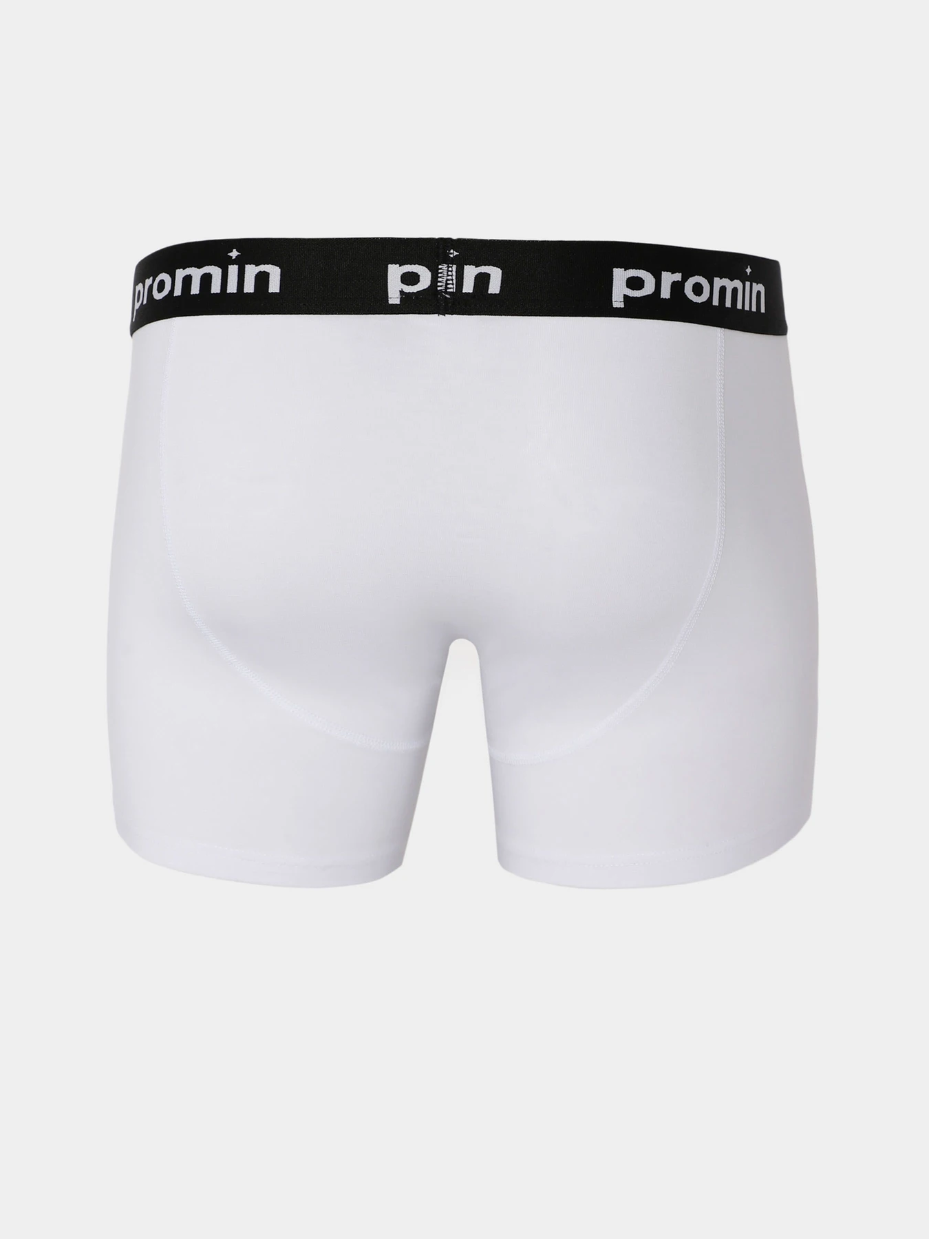 Нижнее белье Promin модель 1991-01_200 Нижнее белье Promin модель 1991-01_200 Фото