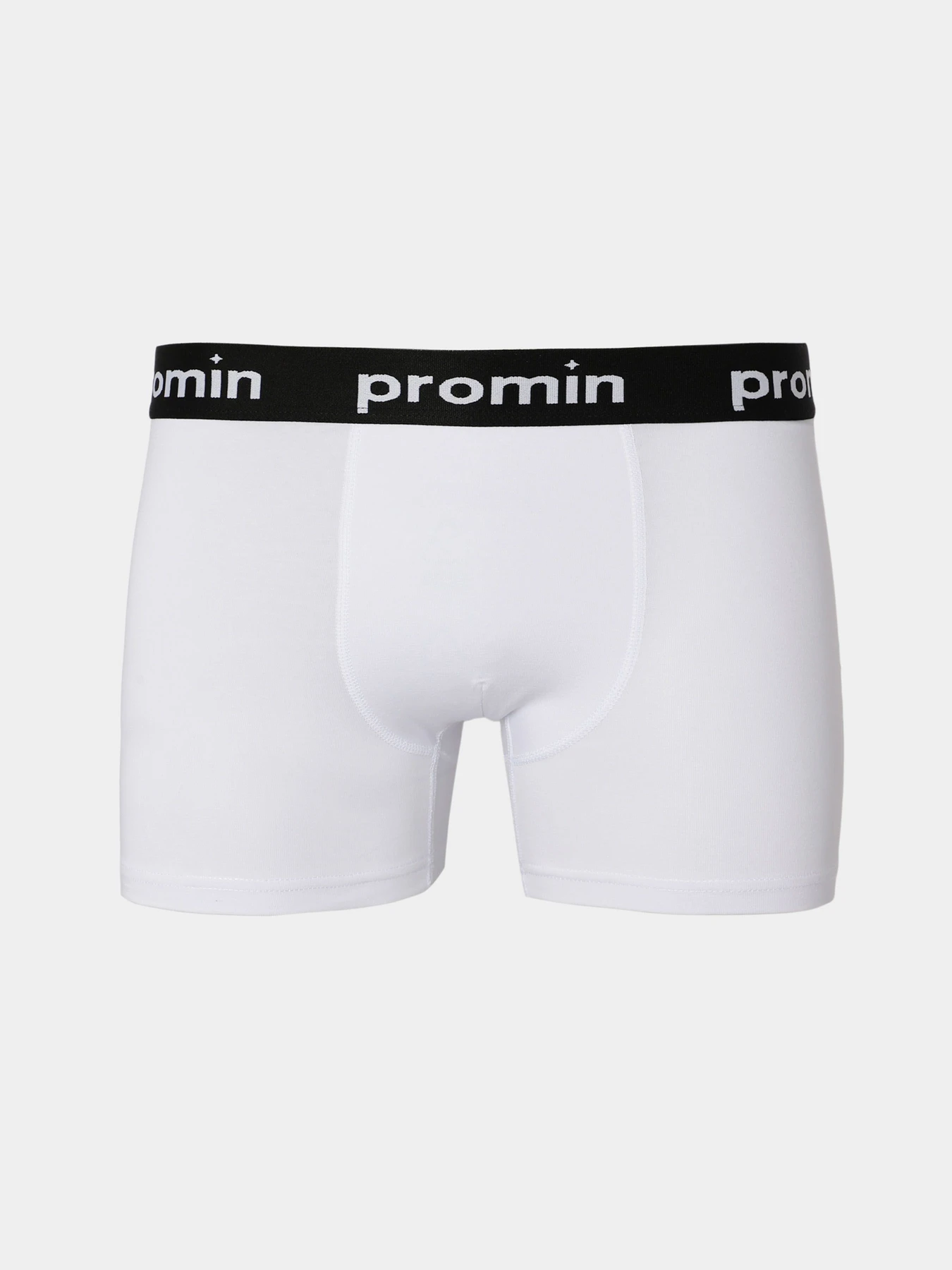 Нижнее белье Promin модель 1991-01_200 Нижнее белье Promin модель 1991-01_200 Фото
