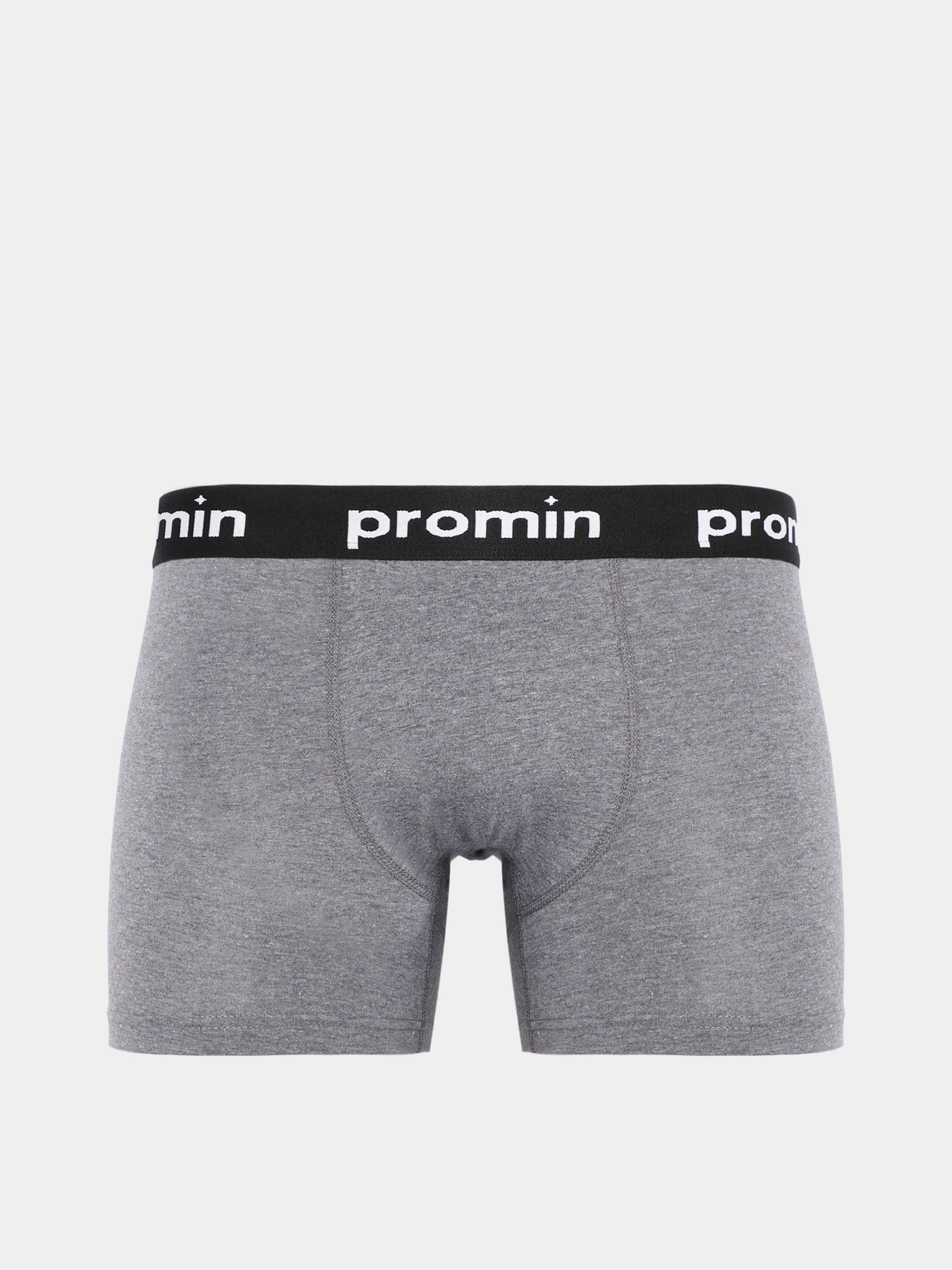 Нижнее белье Promin модель 1991-01_211 Нижнее белье Promin модель 1991-01_211 Фото