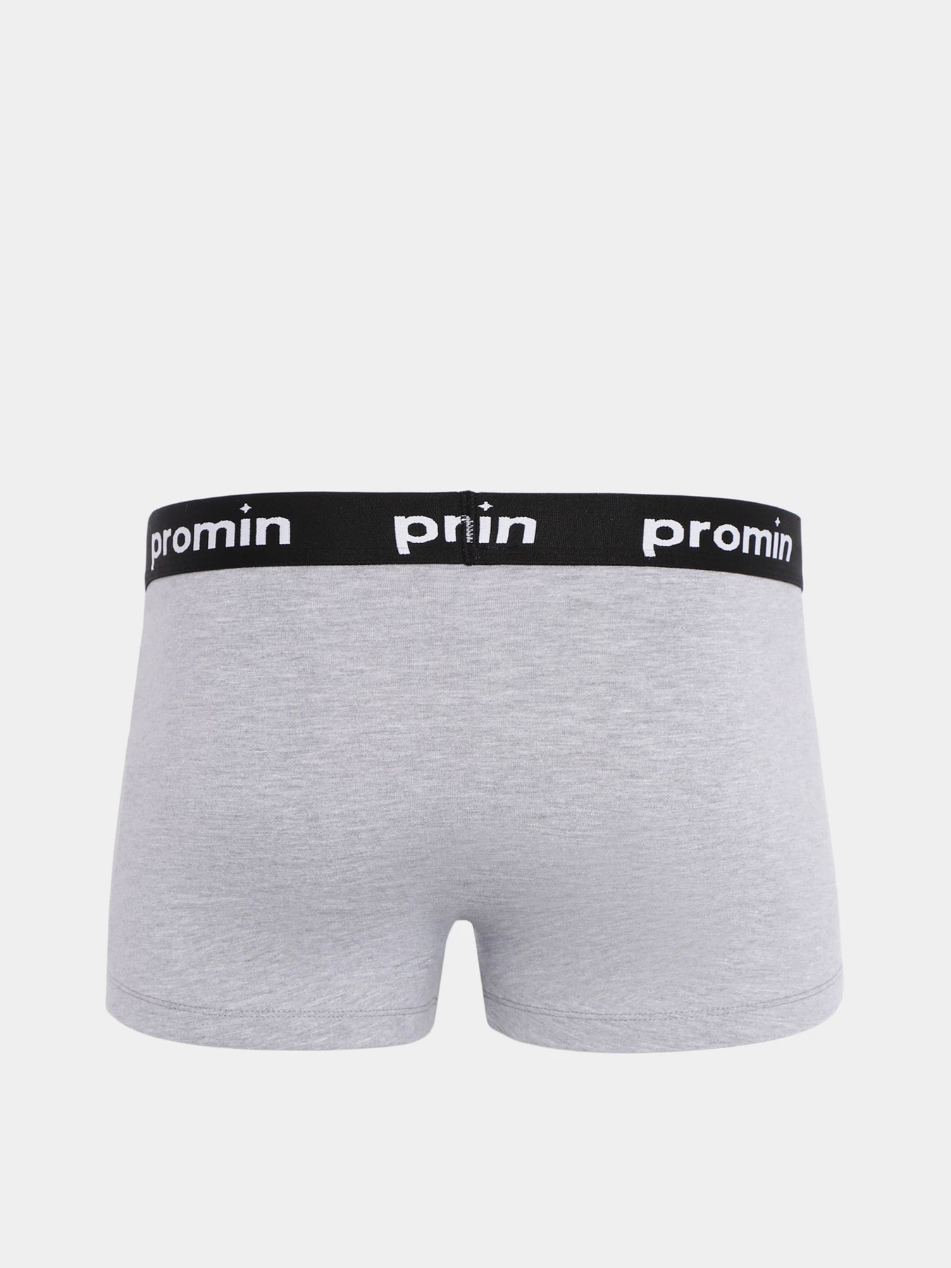 Нижнее белье Promin модель 1991-03_209 Нижнее белье Promin модель 1991-03_209 Фото