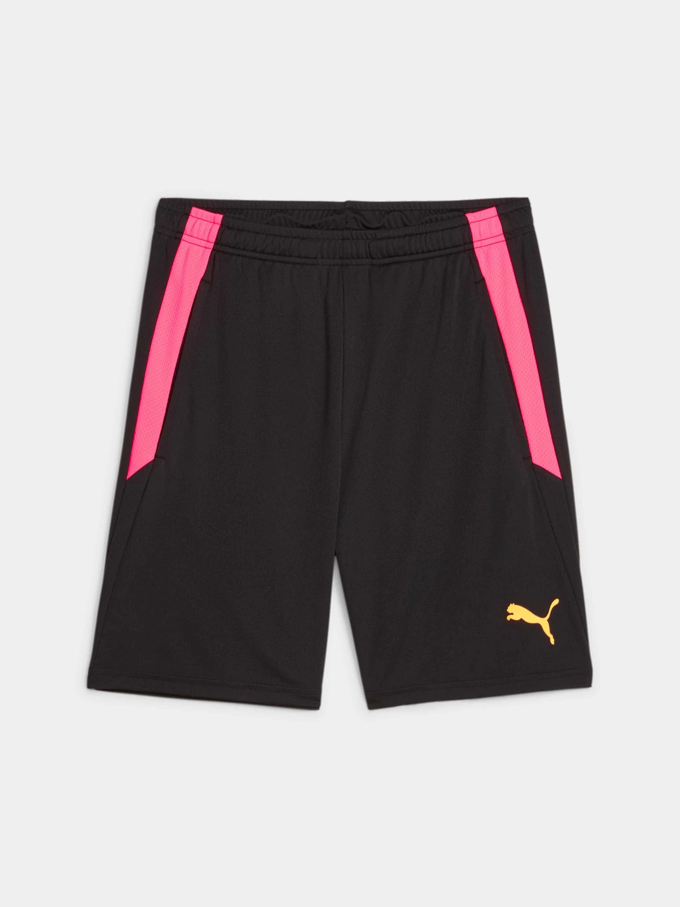Шорты PUMA Teamliga Training Shorts 2 модель 657667 Шорты PUMA Teamliga Training Shorts 2 модель 657667 Фото