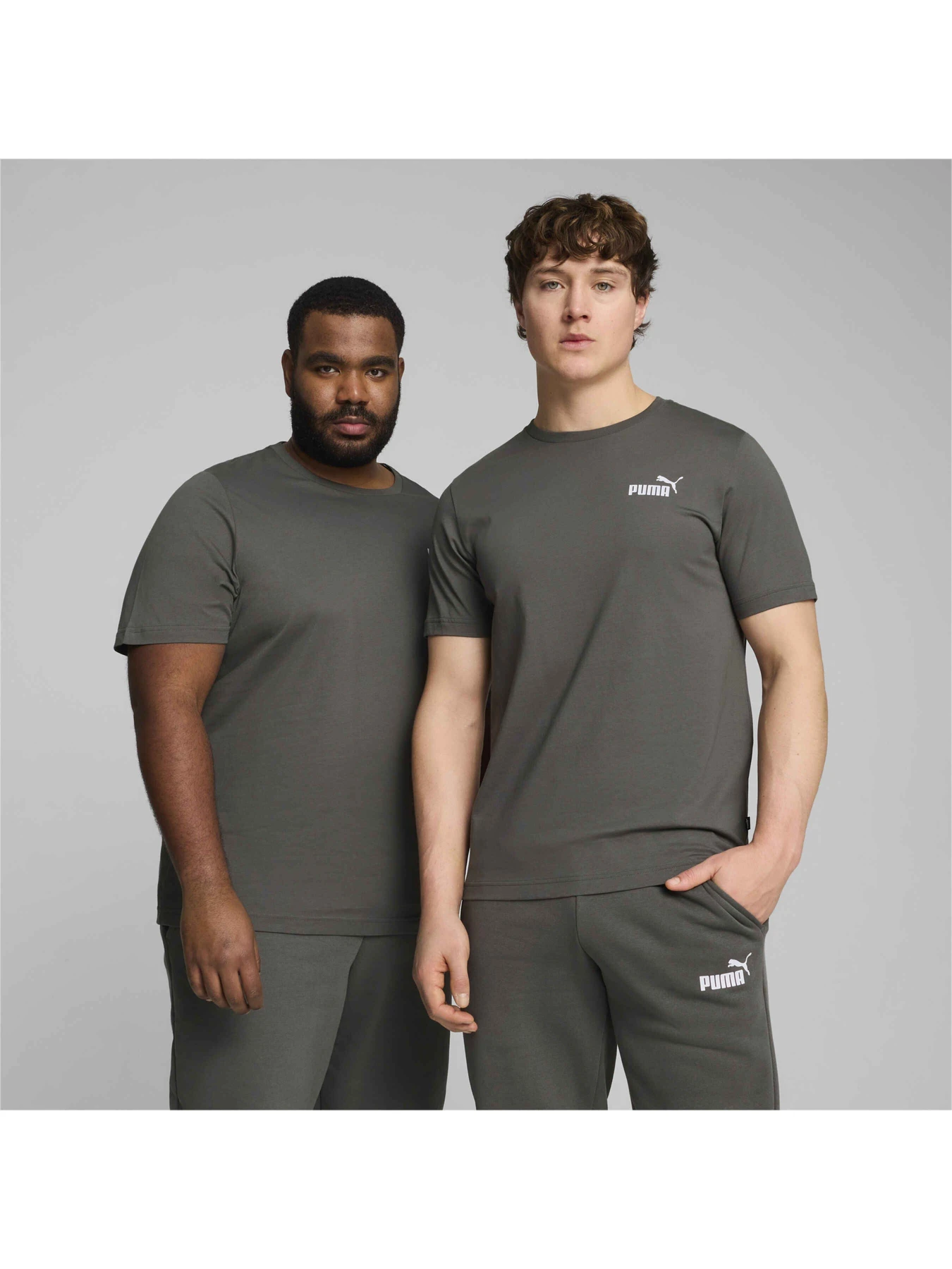 Футболки і поло PUMA Ess Small Logo Tee модель 586669 Футболки і поло PUMA Ess Small Logo Tee модель 586669 Фото