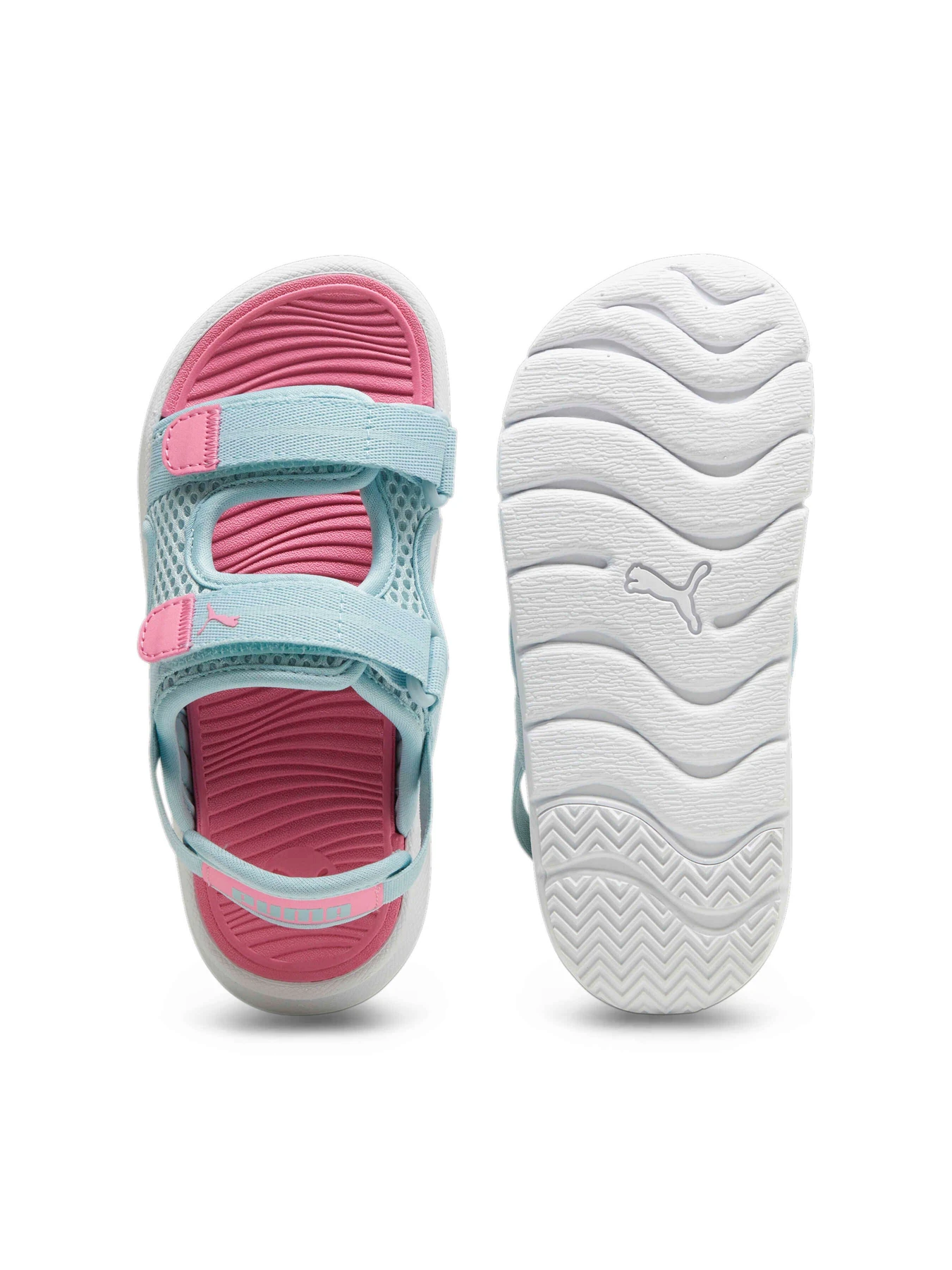Сандалии PUMA Evolve Sandal Ps модель 389147 Фото
