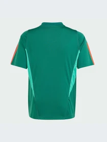 Футболки и поло Adidas Tiro модель IQ1526 Фото