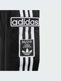 Брюки Adidas Adicolor модель IM8431 Фото