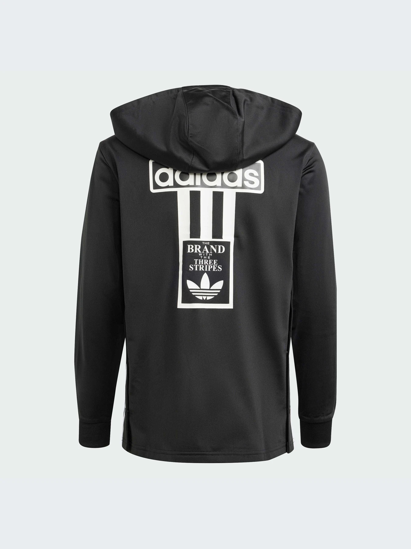 Худи и свитшоты Adidas Adicolor модель IT5466 Фото