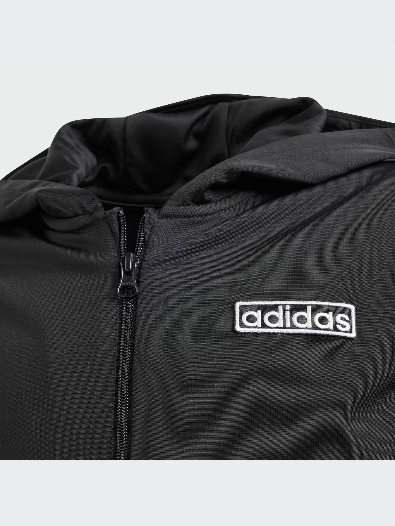 Худи и свитшоты Adidas Adicolor модель IT5466 Фото