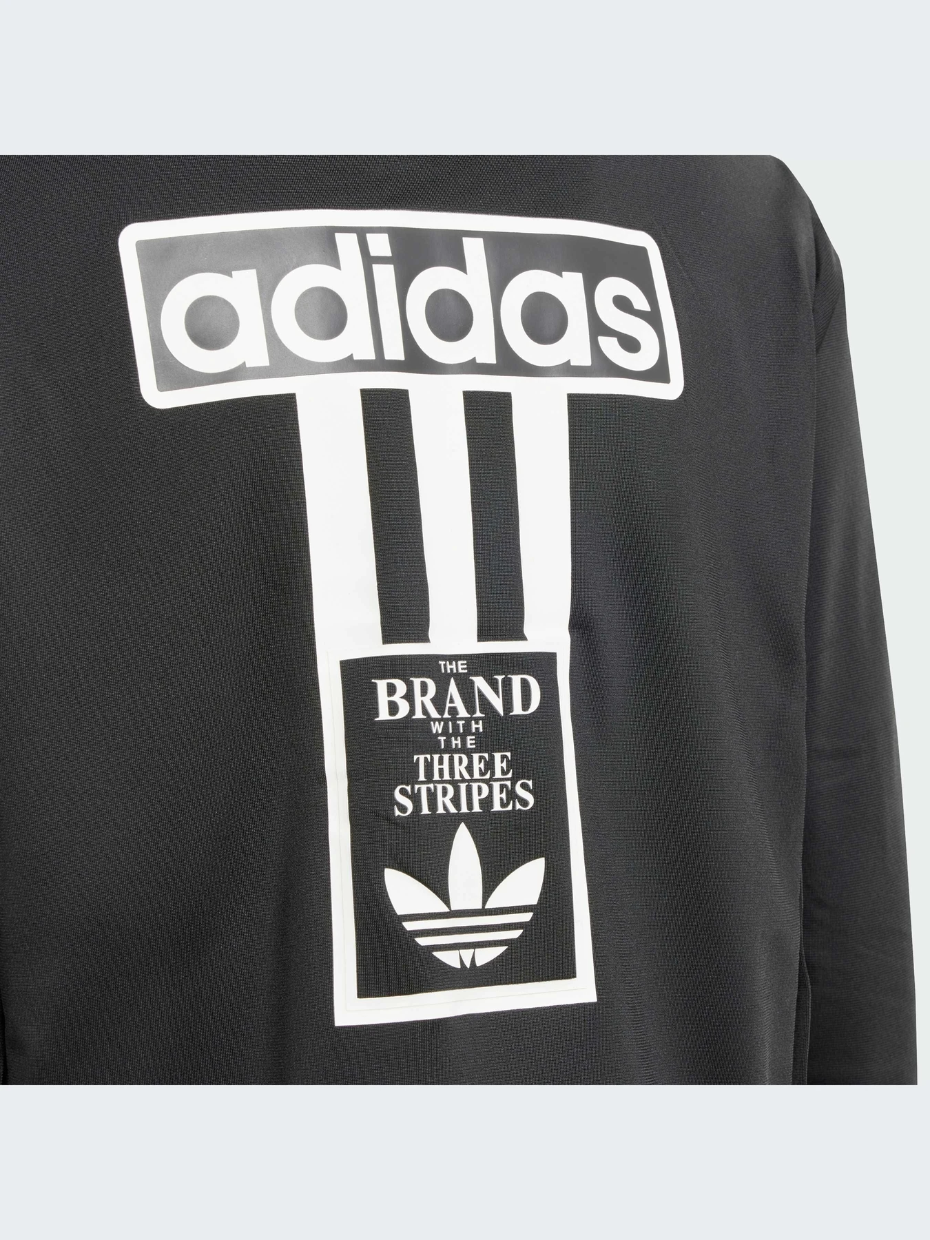 Худи и свитшоты Adidas Adicolor модель IT5466 Фото