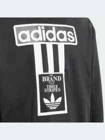 Худи и свитшоты Adidas Adicolor модель IT5466 Фото