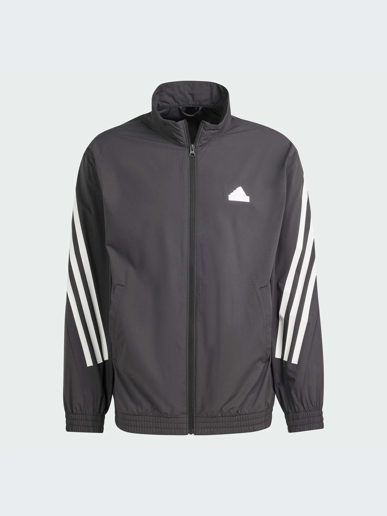 Худі та світшоти Adidas 3 Stripes модель IN3316 Фото
