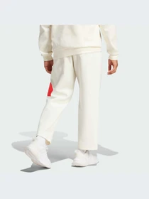 Штани Adidas модель IR9232 Фото
