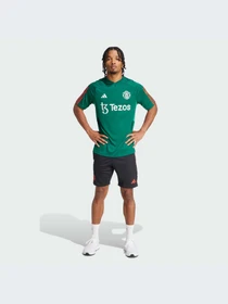Футболки и поло Adidas Tiro модель IQ1527 Фото