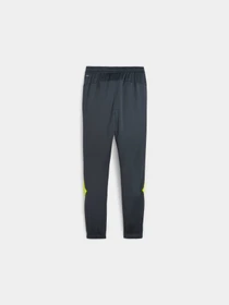 Брюки PUMA King Pro Training Pants модель 658351 Фото