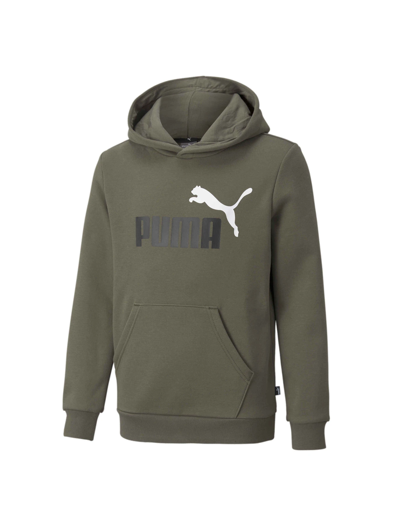 Худи и свитшоты PUMA Ess+ 2 Col Big Logo Hoodie модель 586987 Худи и свитшоты PUMA Ess+ 2 Col Big Logo Hoodie модель 586987 Фото