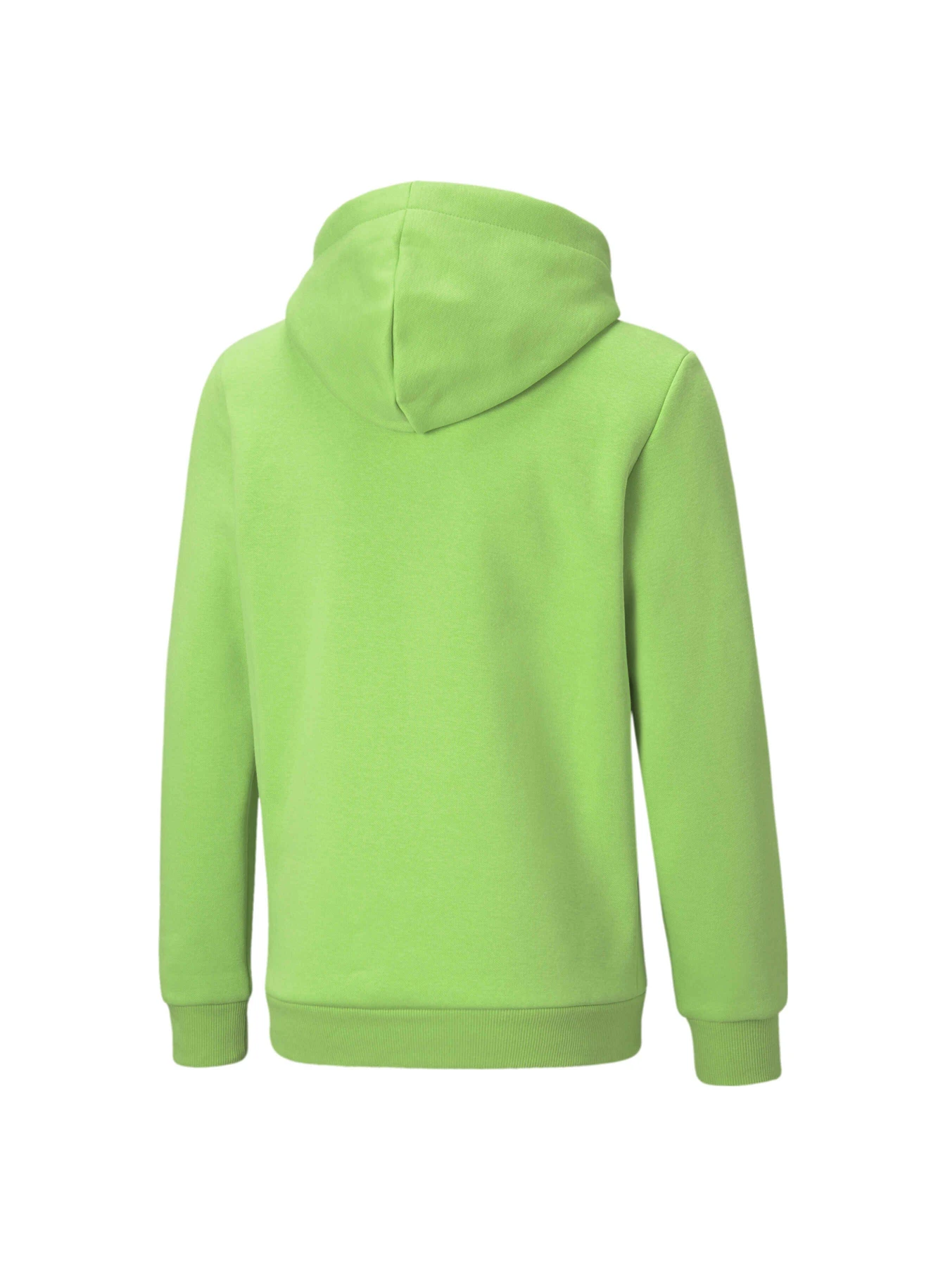 Худи и свитшоты PUMA Ess+ 2 Col Big Logo Hoodie модель 586987 Худи и свитшоты PUMA Ess+ 2 Col Big Logo Hoodie модель 586987 Фото